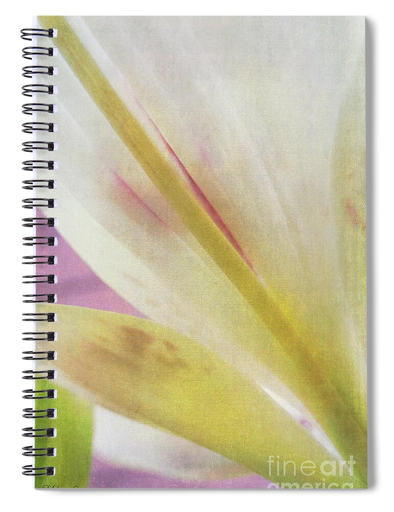 Lily Spiral Notebook featuring the photograph Daylily by Rebecca Langen