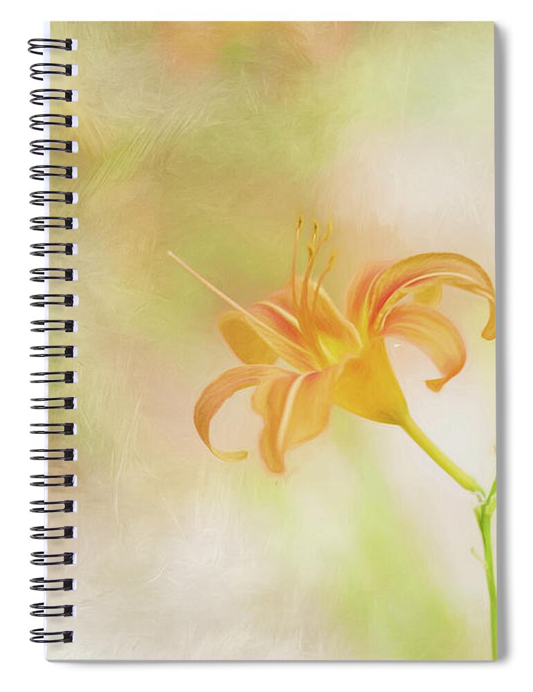 2017 Spiral Notebook featuring the photograph Daylily by Wade Brooks