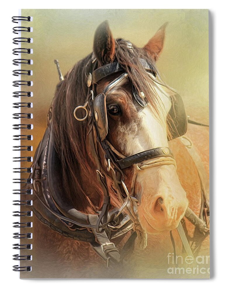 Clydesdale Spiral Notebook featuring the digital art Days In The Sun by Trudi Simmonds