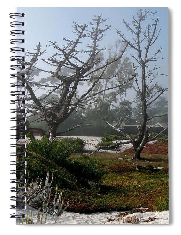 Carmel Spiral Notebook featuring the photograph Dead Cypress Trees by James B Toy