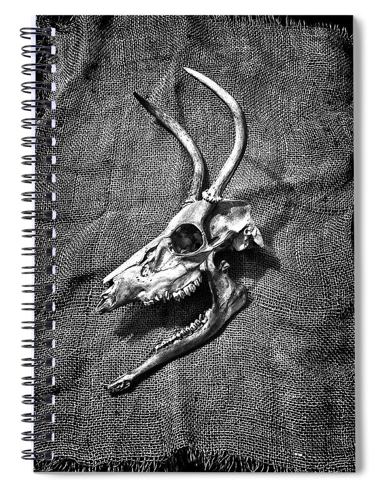 Deer Spiral Notebook featuring the photograph Dead Still Life by Mark Fuller