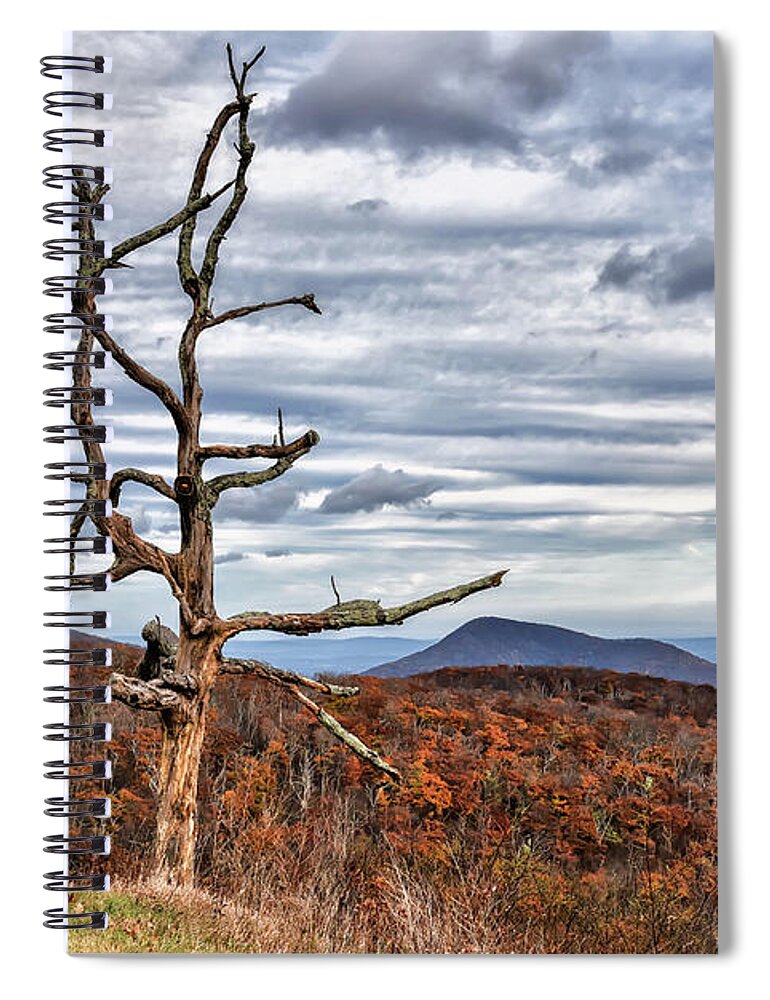 Skyline Drive Spiral Notebook featuring the photograph Dead Tree At Skyline Drive by Lois Bryan