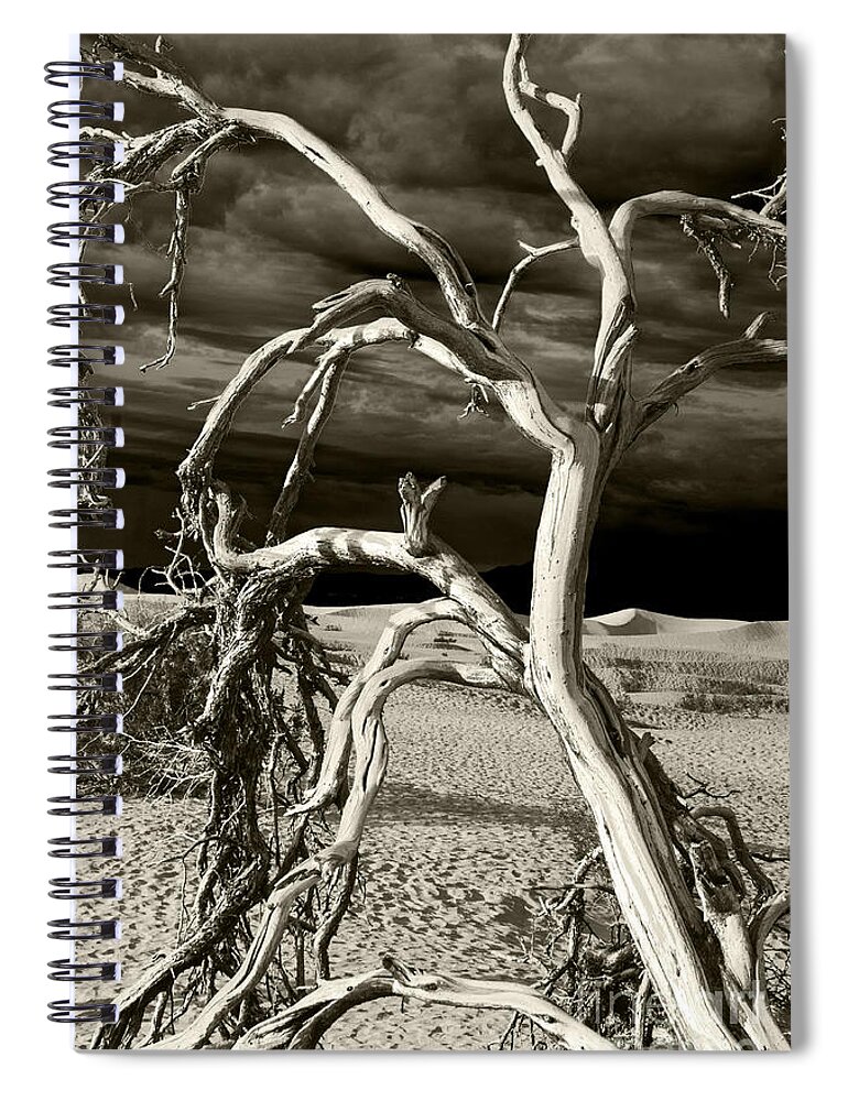 Death Valley Spiral Notebook featuring the photograph Dead tree in Death Valley 13 by Micah May