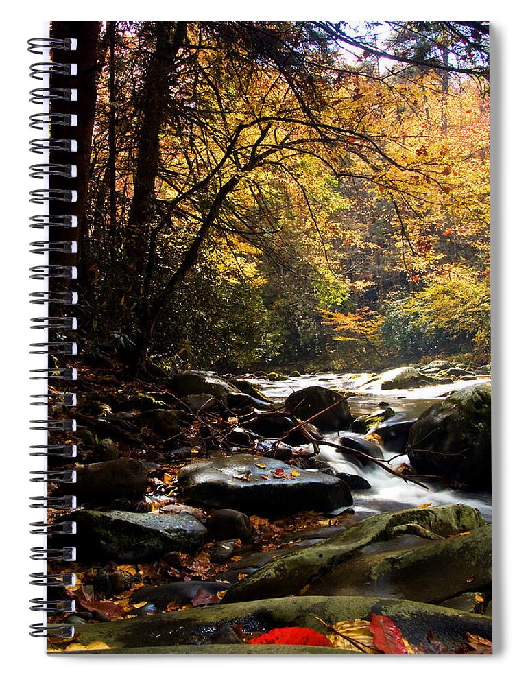 Fall Spiral Notebook featuring the photograph Deep Creek Mountain Stream by Bob Decker