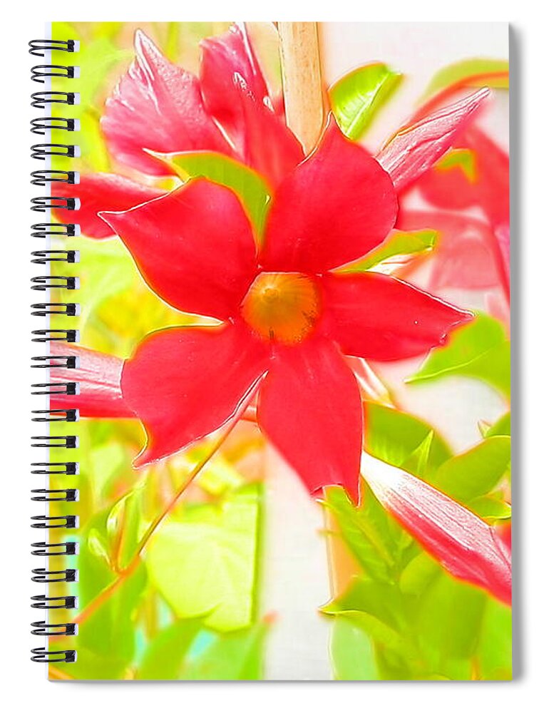 #watercolor #amazing #print #bright Deep #pinks #greens Lemon #lime Spiral Notebook featuring the photograph Deep Red Mandaville by Belinda Lee