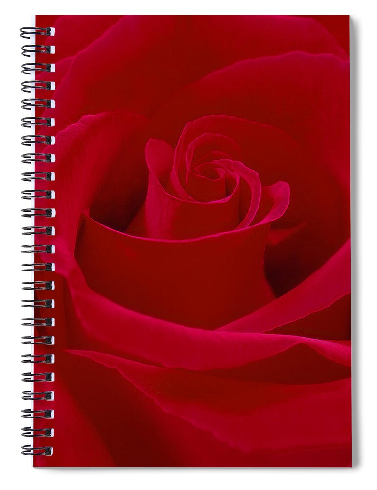 Red Rose Spiral Notebook featuring the photograph Deep Red Rose by Mike McGlothlen