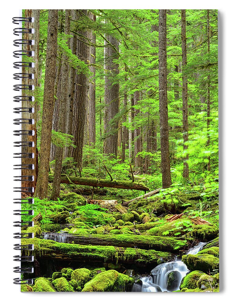 Forest Spiral Notebook featuring the photograph Deep Woods by Spencer McDonald
