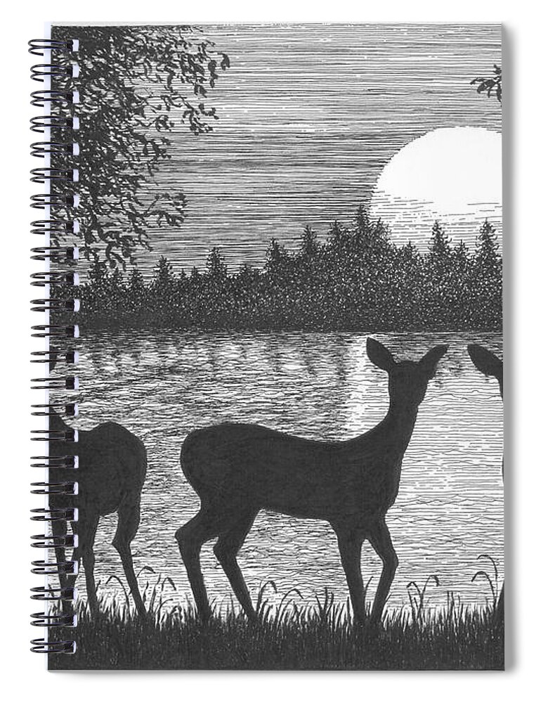Deer Spiral Notebook featuring the drawing Deer at Dusk by Lawrence Tripoli