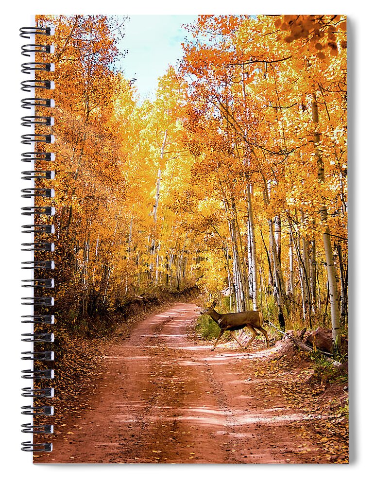 Deer Spiral Notebook featuring the photograph Deer Crossing Autumn Road by David Soldano