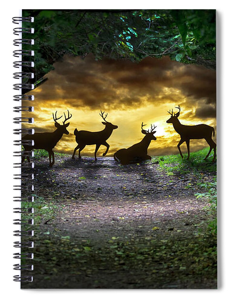 2d Spiral Notebook featuring the photograph Deer Fantasy by Brian Wallace