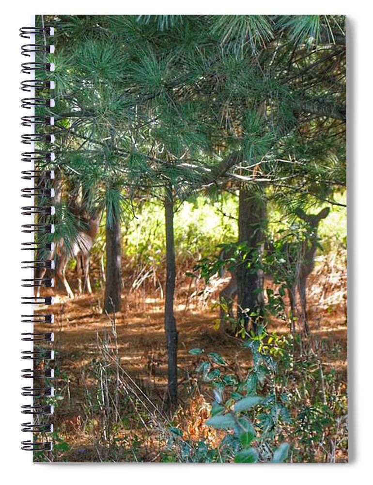 Deer Spiral Notebook featuring the photograph 1011 - Deer of Croswell I by Sheryl L Sutter
