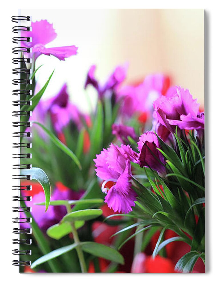 Delicate Purple Flowers Spiral Notebook featuring the photograph Delicate Purple Flowers by Angela Murdock
