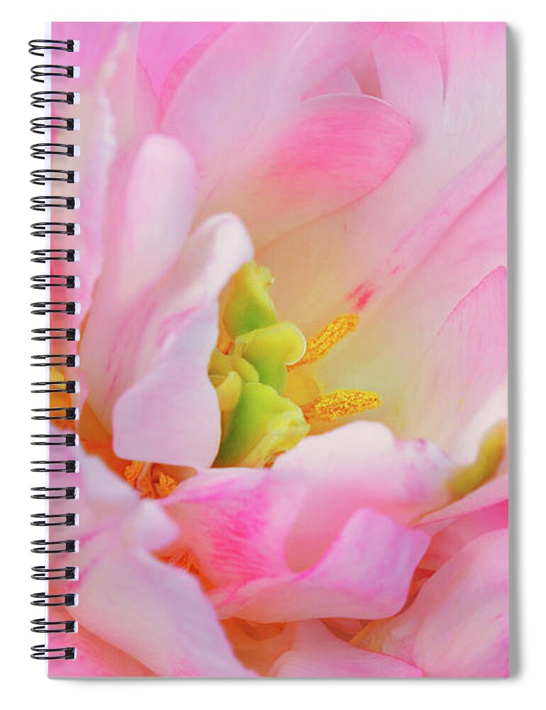 Spring Spiral Notebook featuring the photograph Delicate Tutu by Iryna Goodall