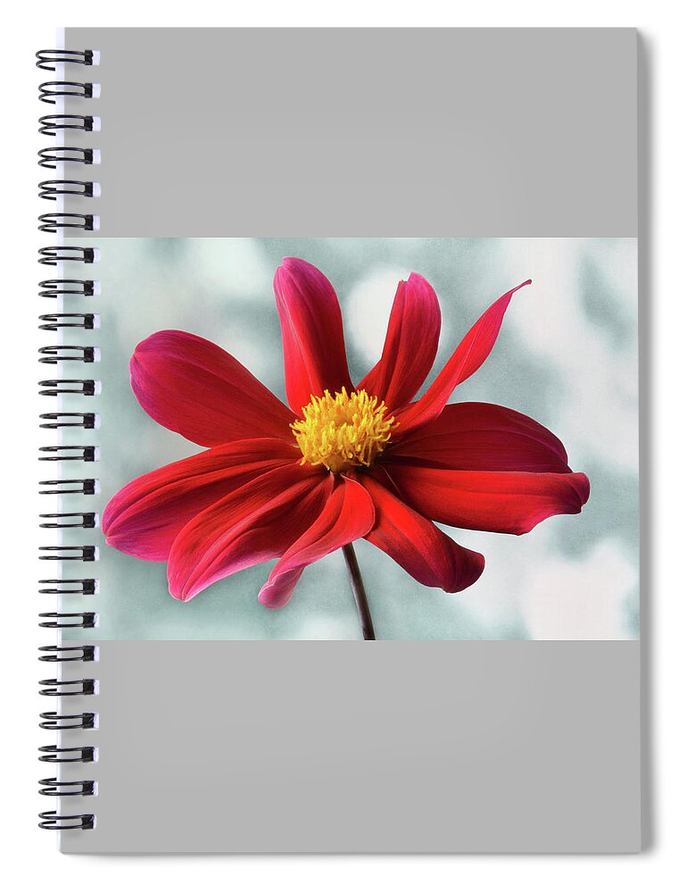 Dahlia Spiral Notebook featuring the photograph Delightful Dahlia by Terence Davis
