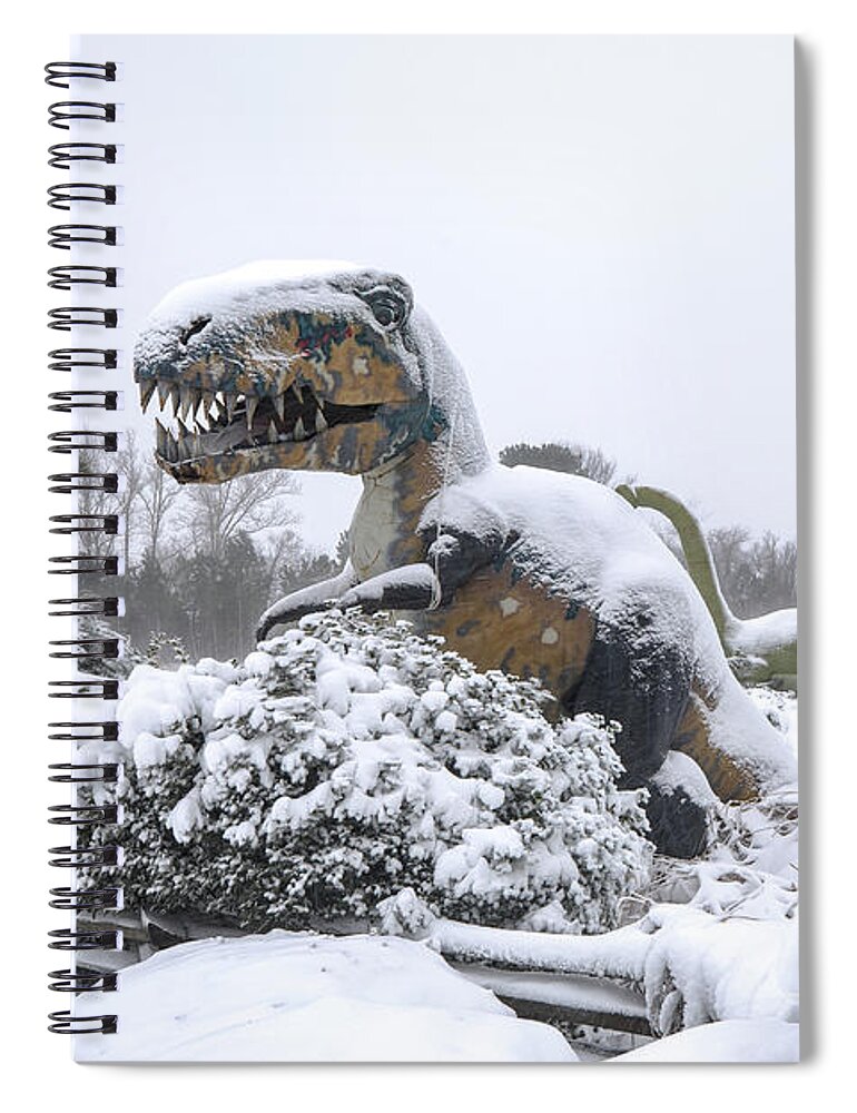 Photosbymch Spiral Notebook featuring the photograph Demise of the dinosaurs by M C Hood