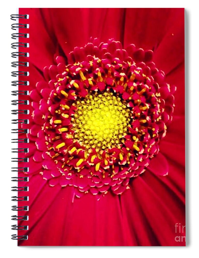 Flower Spiral Notebook featuring the photograph Depth by Denise Railey