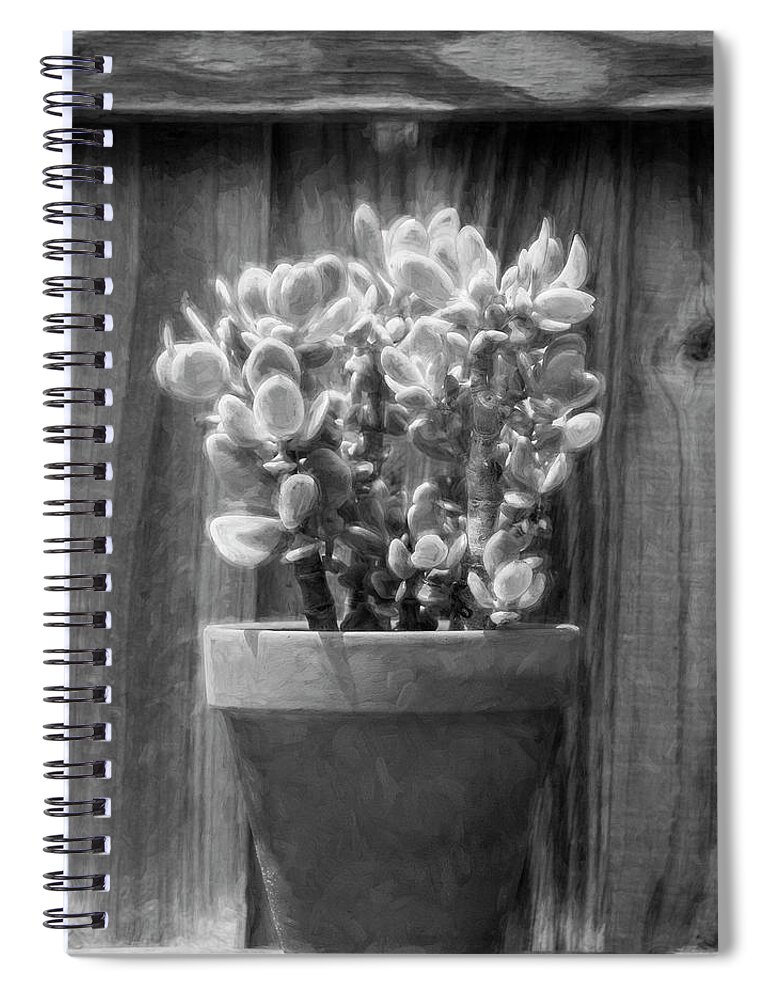 Cactus Spiral Notebook featuring the photograph Desert Cactus and Succulents 088 by Rich Franco