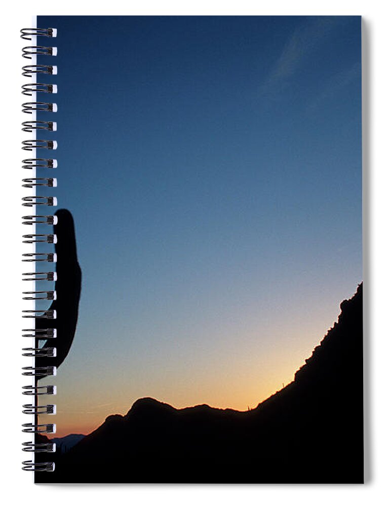 Cactus Spiral Notebook featuring the photograph Desert cactus Sunrise by Ted Keller