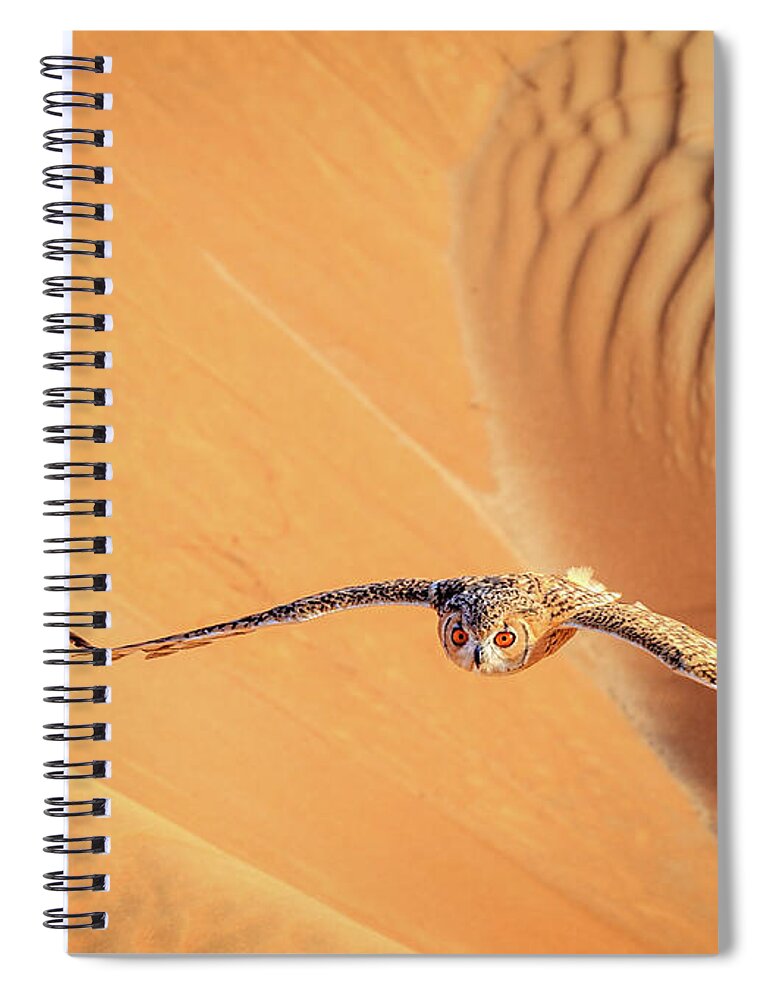 Dubai Spiral Notebook featuring the photograph Desert Eagle Owl by Alexey Stiop
