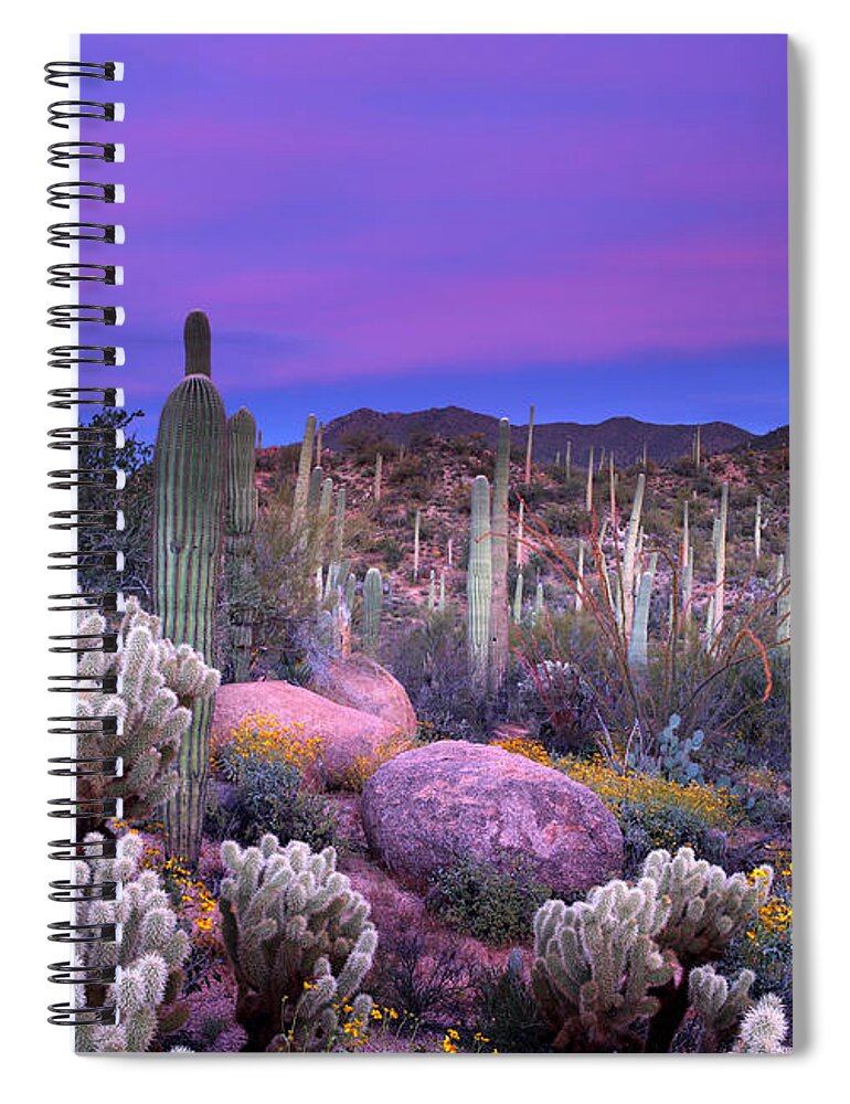 Arizona Spiral Notebook featuring the photograph Desert Garden by Eric Foltz