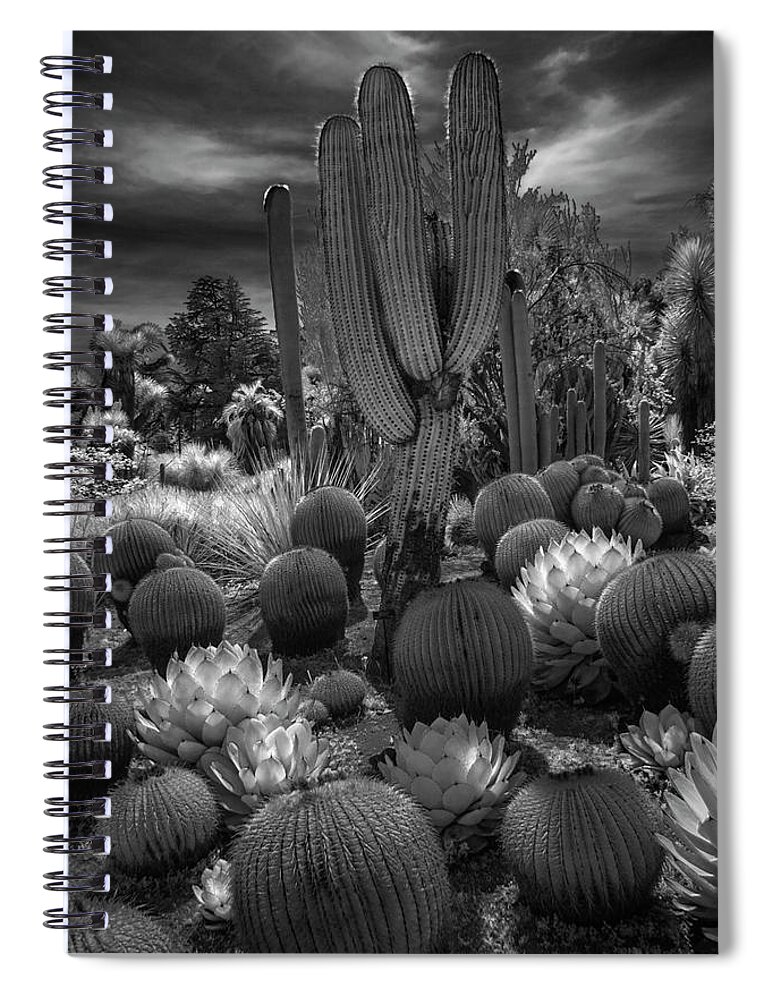 Art Spiral Notebook featuring the photograph Desert Garden with Cacti at the Huntington Botanical Garden in California by Randall Nyhof