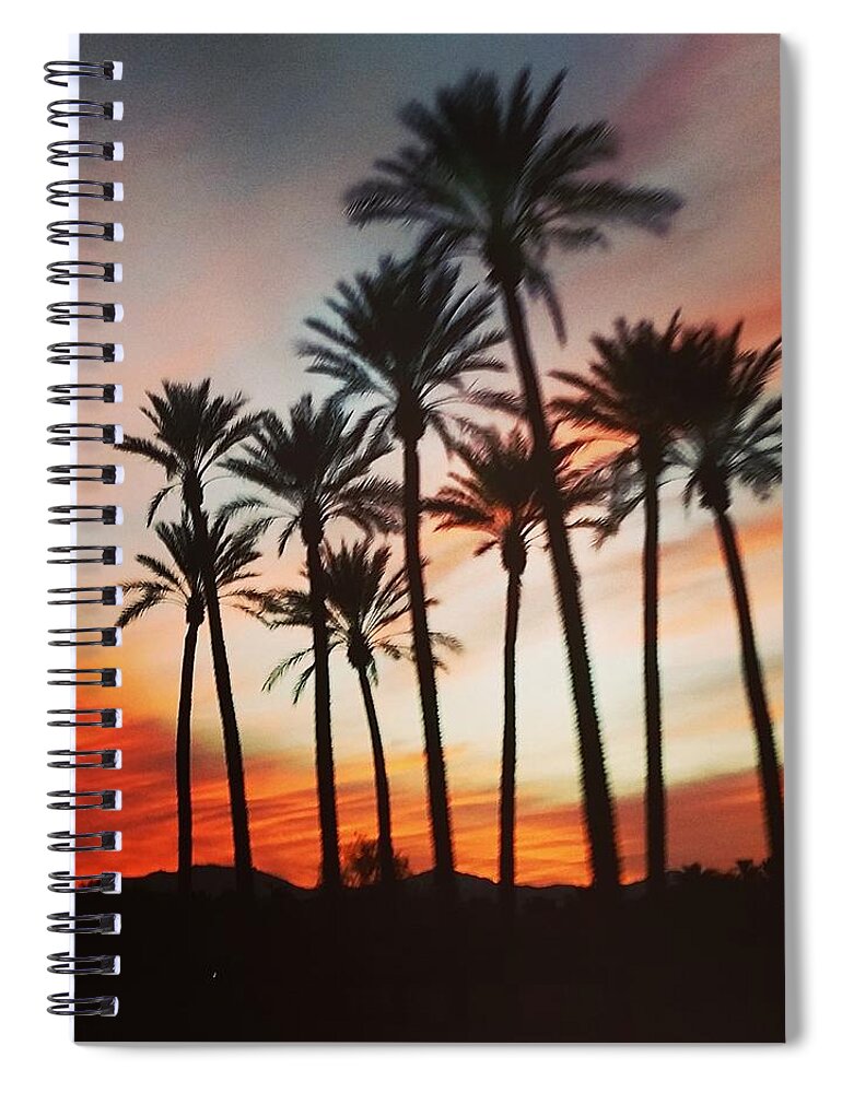 Palm Trees Spiral Notebook featuring the photograph Desert Palms Sunset by Vic Ritchey
