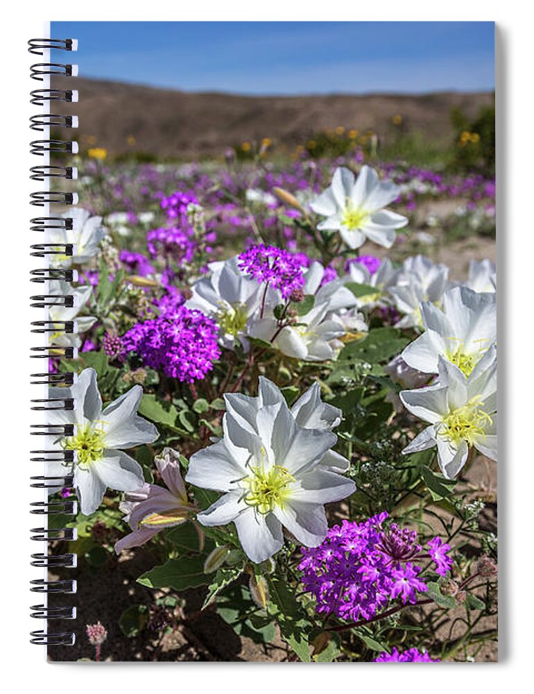 Anza-borrego Desert Spiral Notebook featuring the photograph Desert Super Bloom 2017 by Peter Tellone