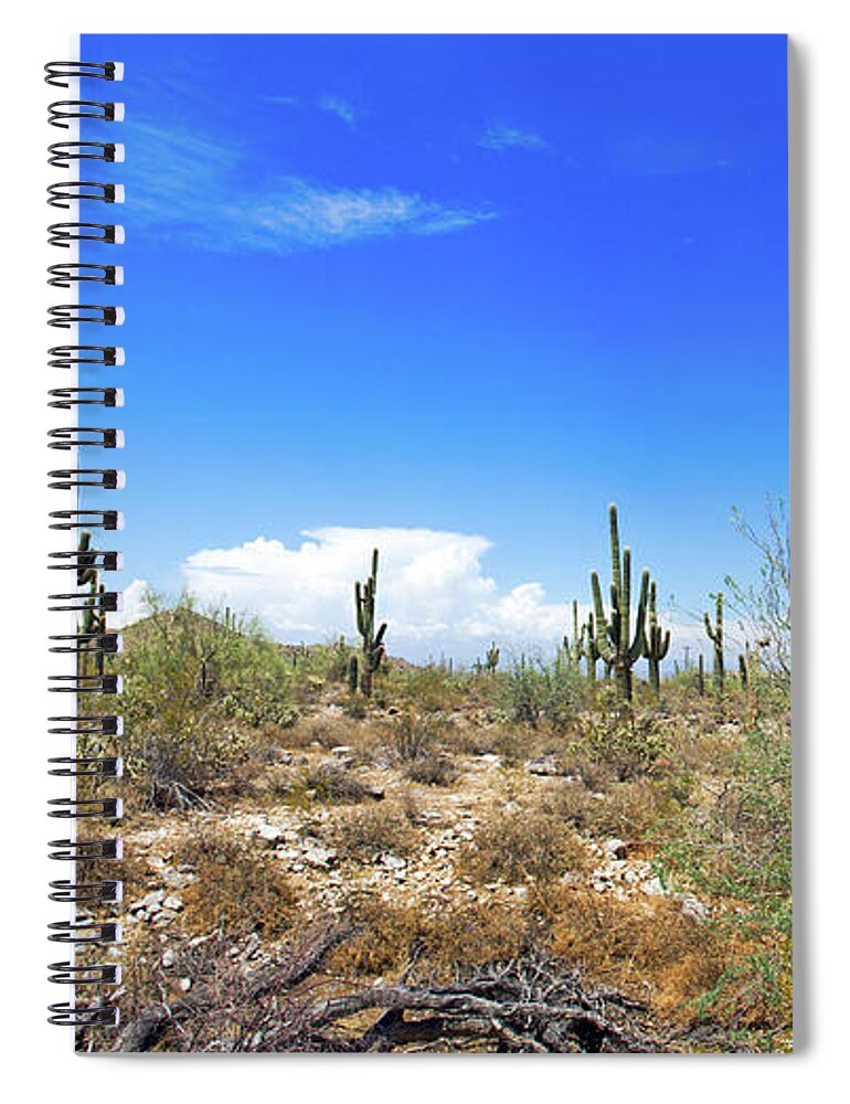 Arizona Spiral Notebook featuring the photograph Desert View by Bob Hislop