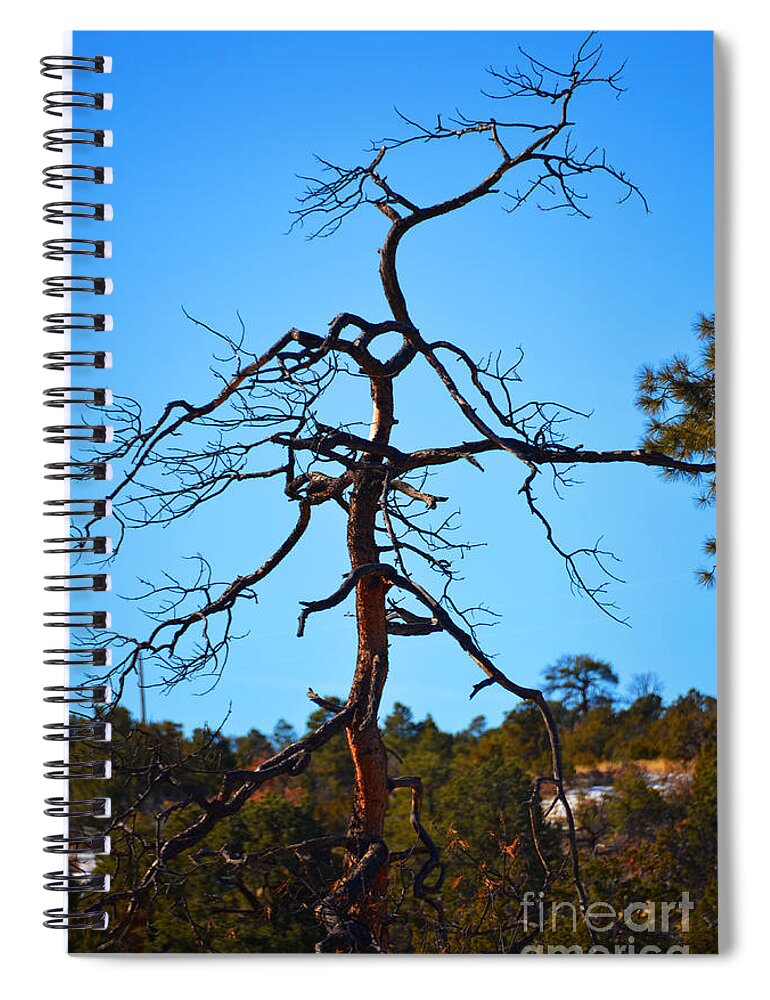 Southwest Landscape Spiral Notebook featuring the photograph Deserts toll by Robert WK Clark