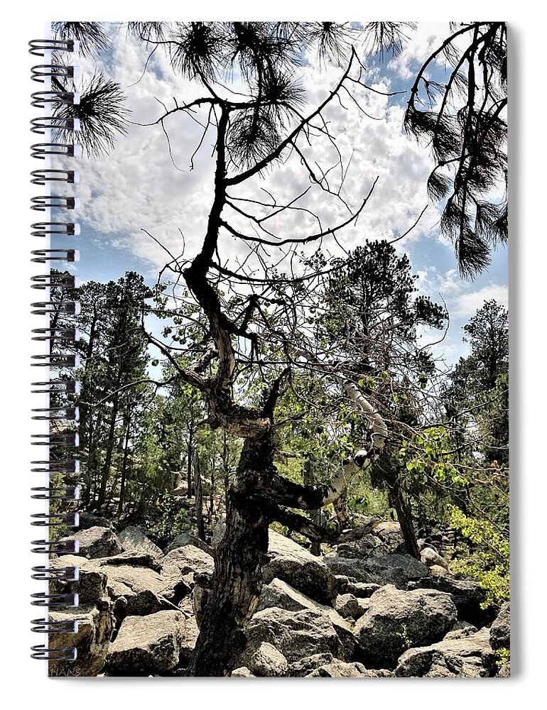 Beautiful Spiral Notebook featuring the photograph Devil's Tower Deadwood by Rob Hans