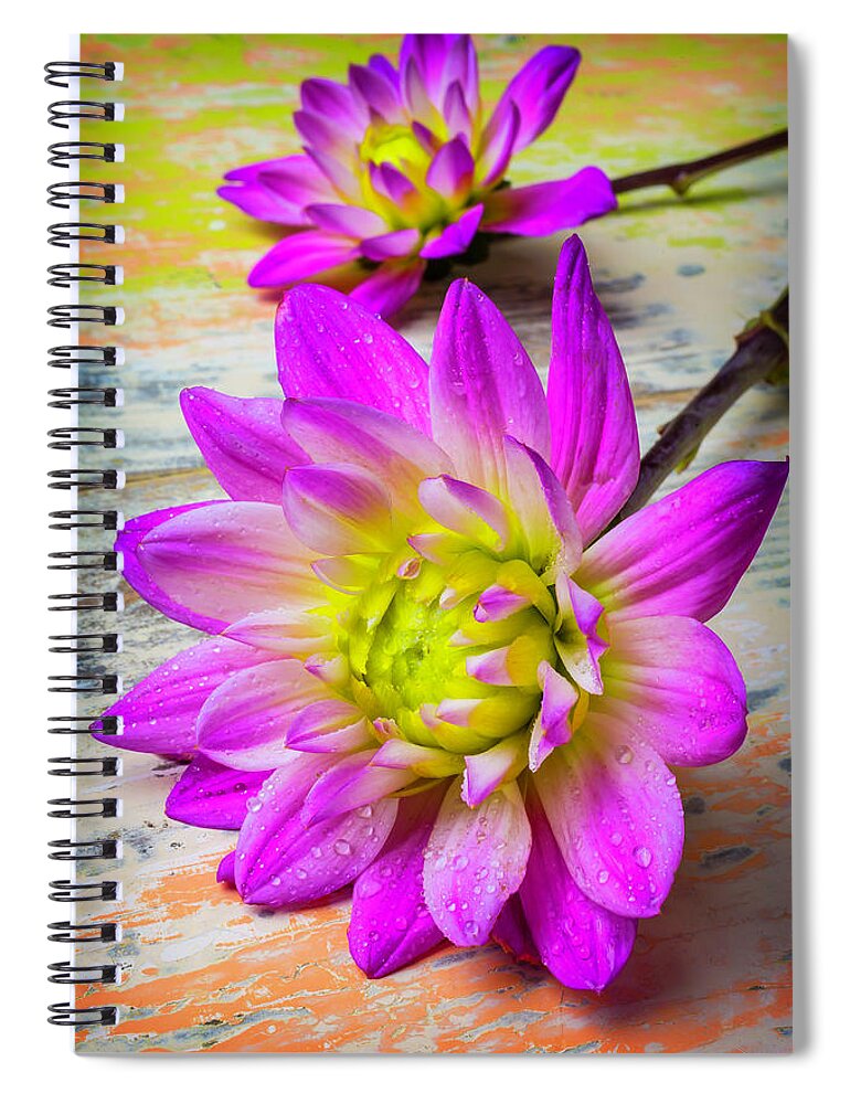 Color Spiral Notebook featuring the photograph Dewy Dahlia by Garry Gay