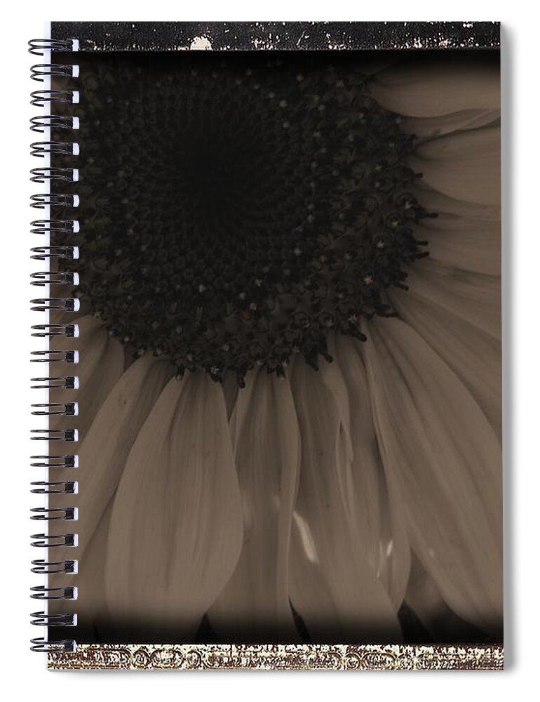 Diatrope Spiral Notebook featuring the photograph Diatrop Three Quarter Sunflower by Sonya Chalmers