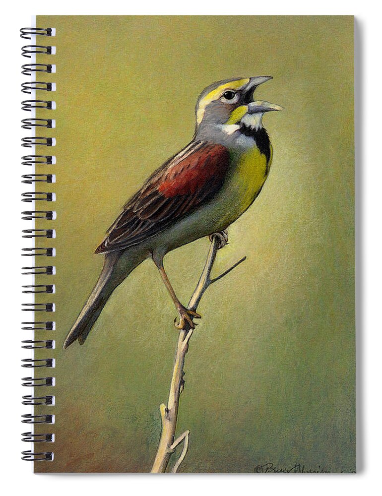 Birds Spiral Notebook featuring the drawing Dickcissel Summer Song by Bruce Morrison