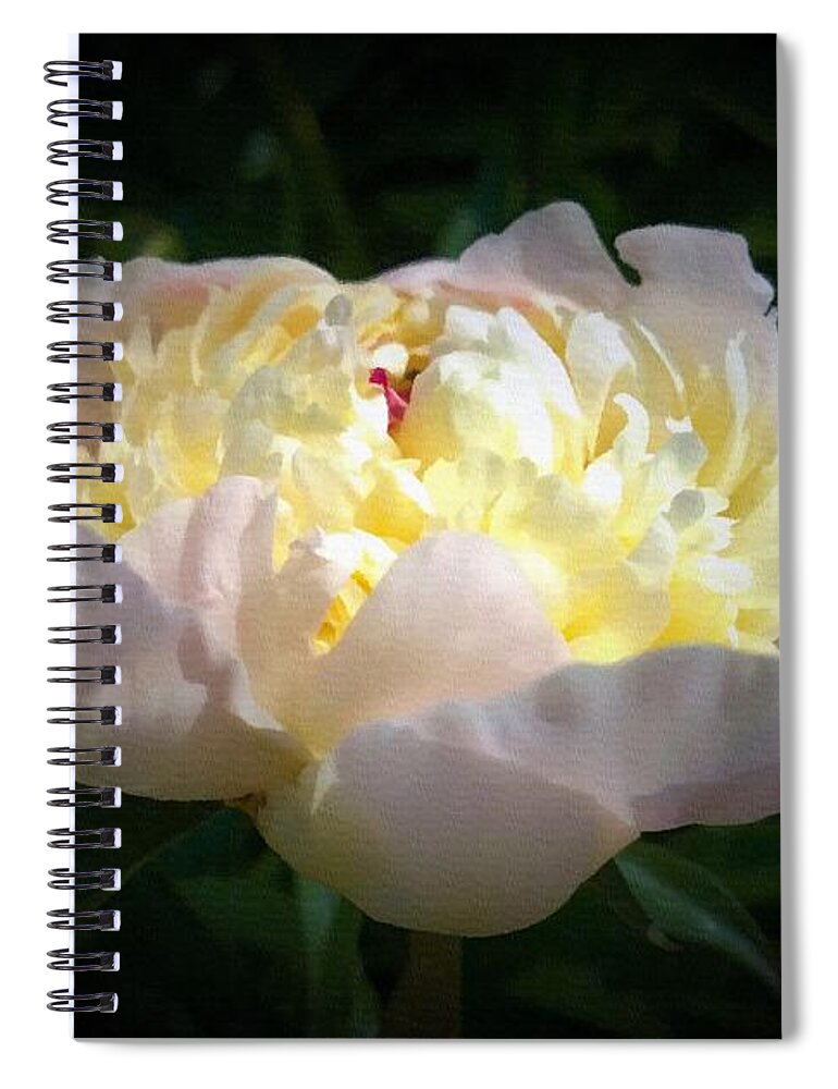 Digital Art Spiral Notebook featuring the digital art Digital Art White Peony Flower by Delynn Addams