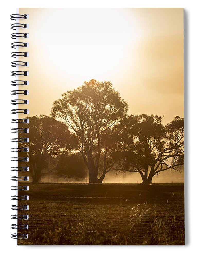 Sunset Spiral Notebook featuring the photograph Dirtbike Dust by Linda Lees