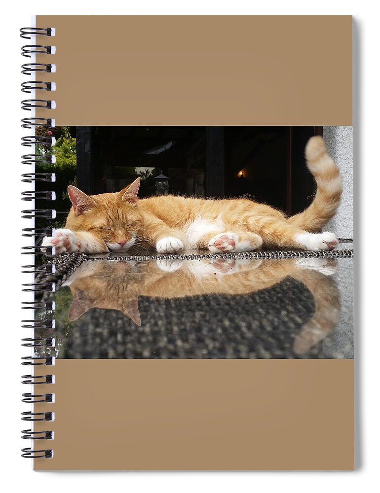 Cat Spiral Notebook featuring the photograph Disco Dreams by Rowena Tutty