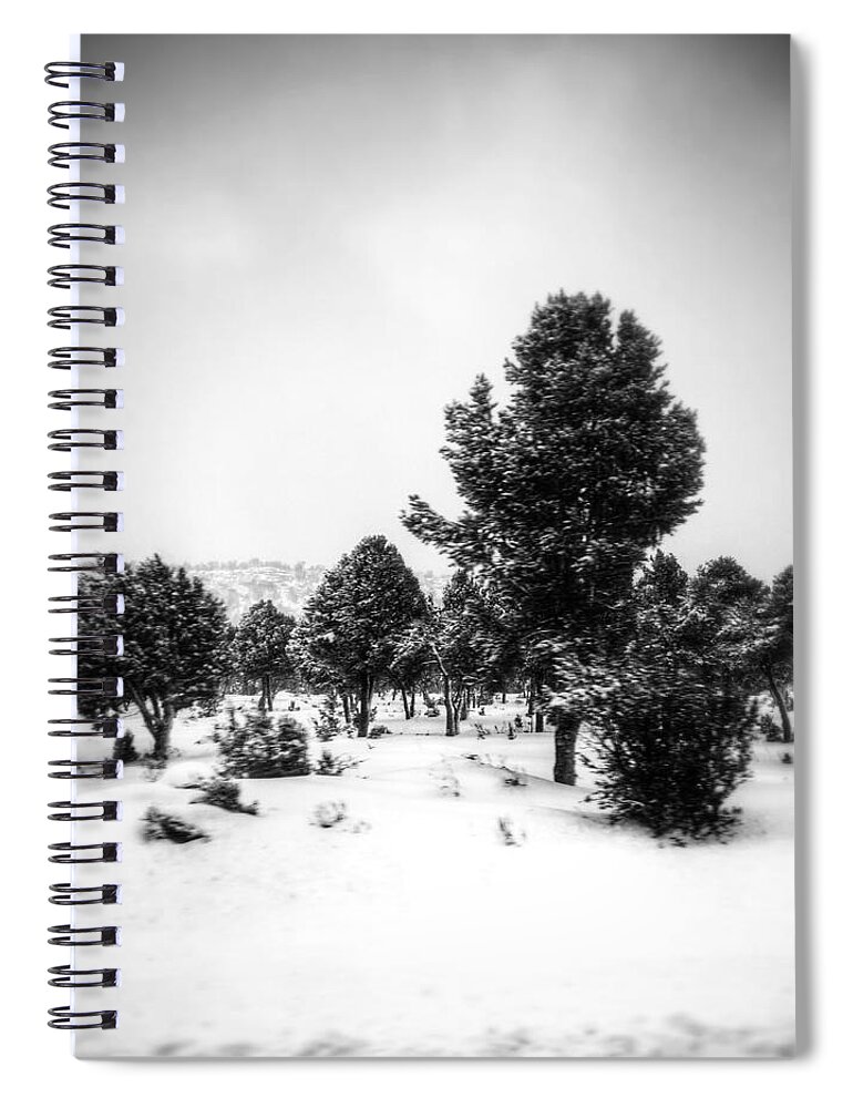 Winter Spiral Notebook featuring the photograph Distant by Mark Ross