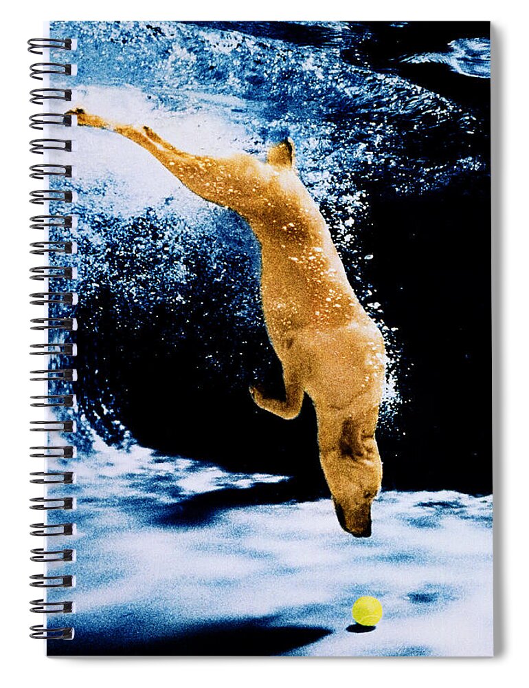 Pet Spiral Notebook featuring the photograph Diving Dog Underwater by Jill Reger