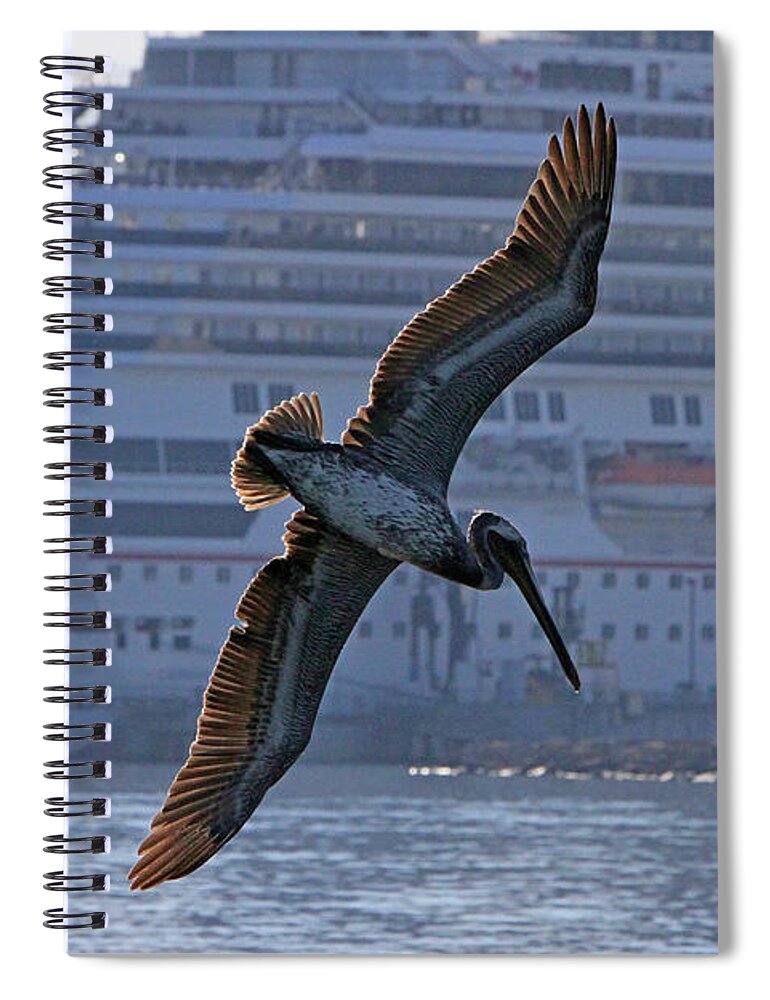 Pelican Spiral Notebook featuring the photograph Diving for Breakfast by Shoal Hollingsworth