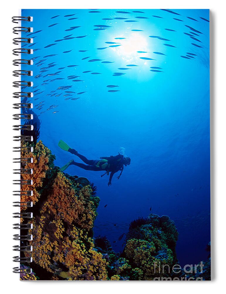 Bubble Spiral Notebook featuring the photograph Diving Scene by Ed Robinson - Printscapes