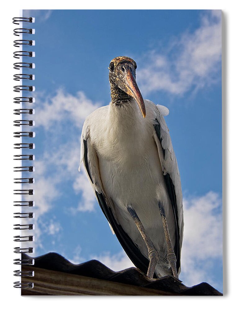 Stork Spiral Notebook featuring the photograph Do I Know You by Christopher Holmes