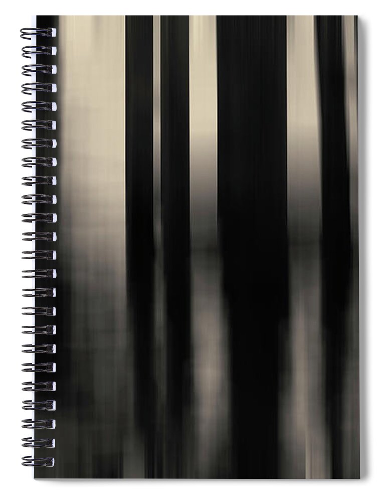 Dock Spiral Notebook featuring the photograph Dock and Reflection I Toned by David Gordon