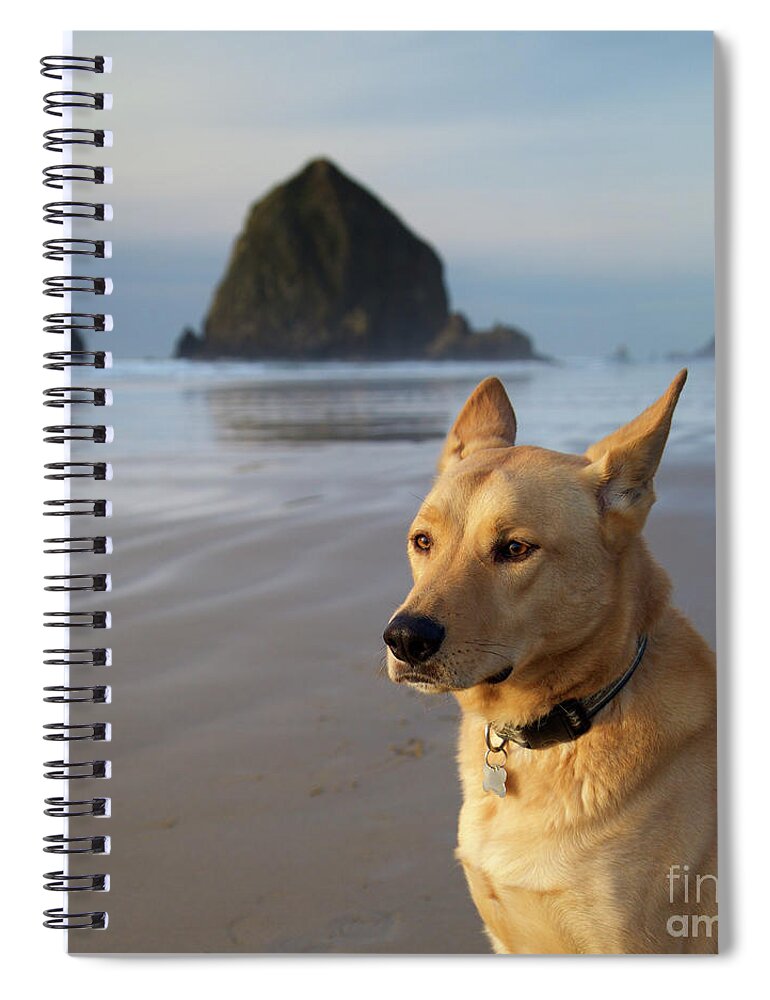 Dog Spiral Notebook featuring the photograph Dog Portrait @ Cannon Beach by Bruce Block