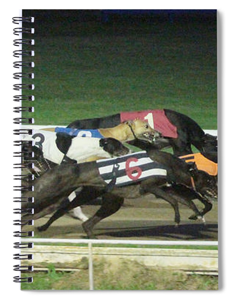 Dogs Spiral Notebook featuring the photograph Dogs racing by Tom Conway