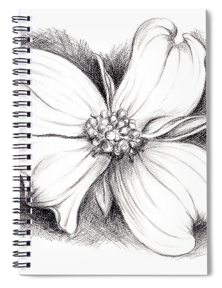Dogwood Spiral Notebook featuring the drawing Dogwood Blossom Charcoal by MM Anderson