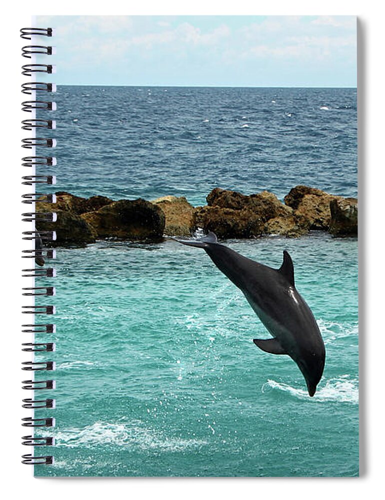 Dolphins Spiral Notebook featuring the photograph Dolphins Showtime by Adriana Zoon