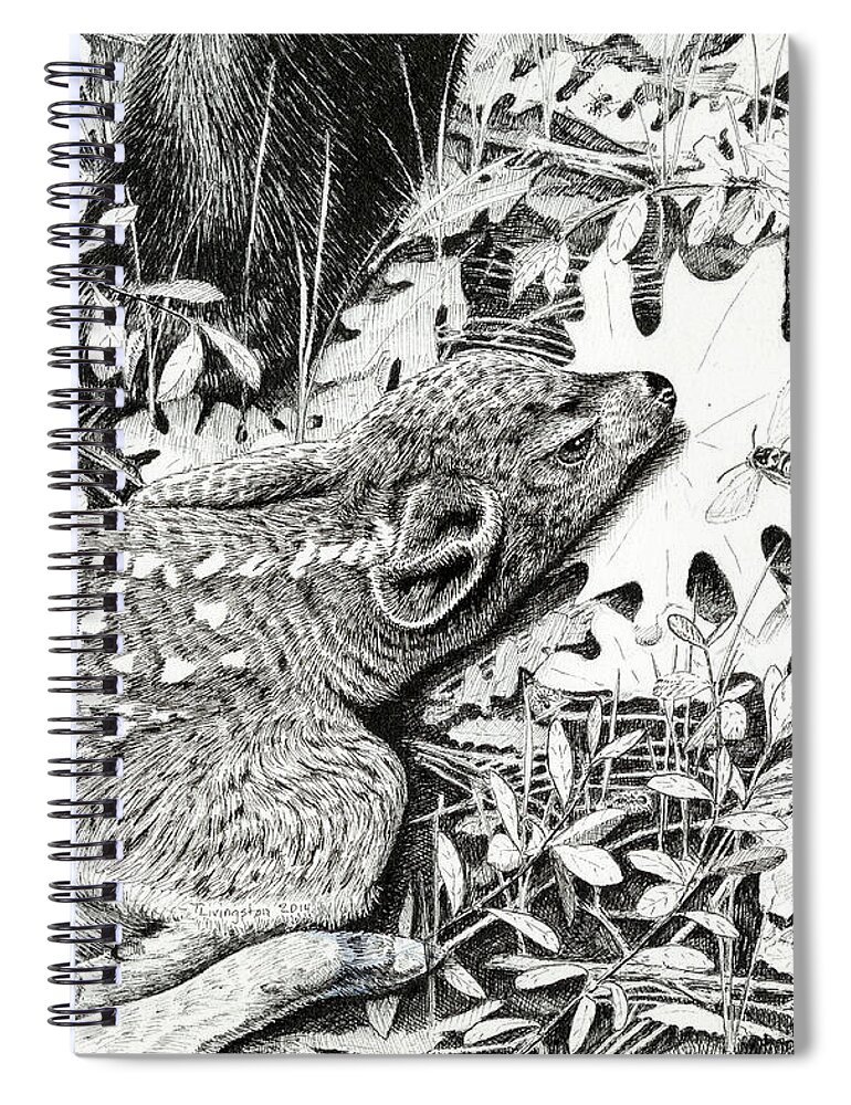 Fawn Spiral Notebook featuring the drawing Don't Even Breathe by Timothy Livingston