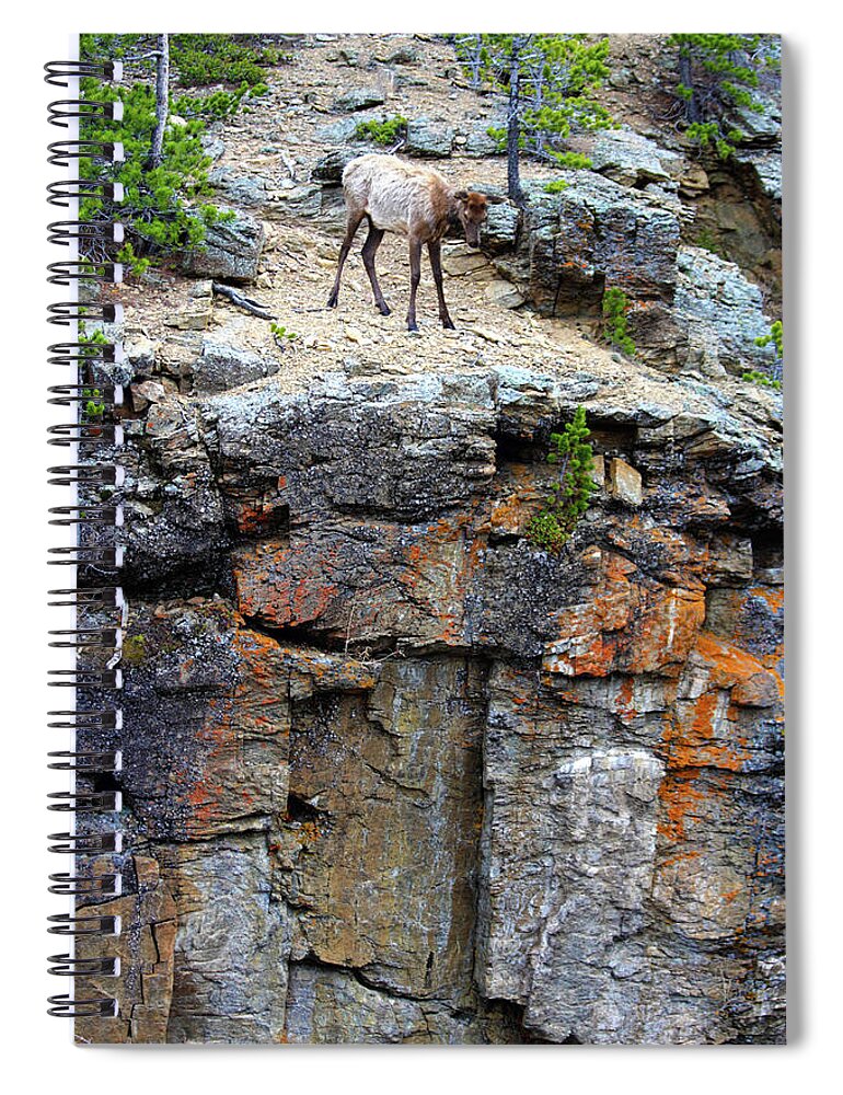 Cliff Spiral Notebook featuring the photograph Don't Jump by Shane Bechler