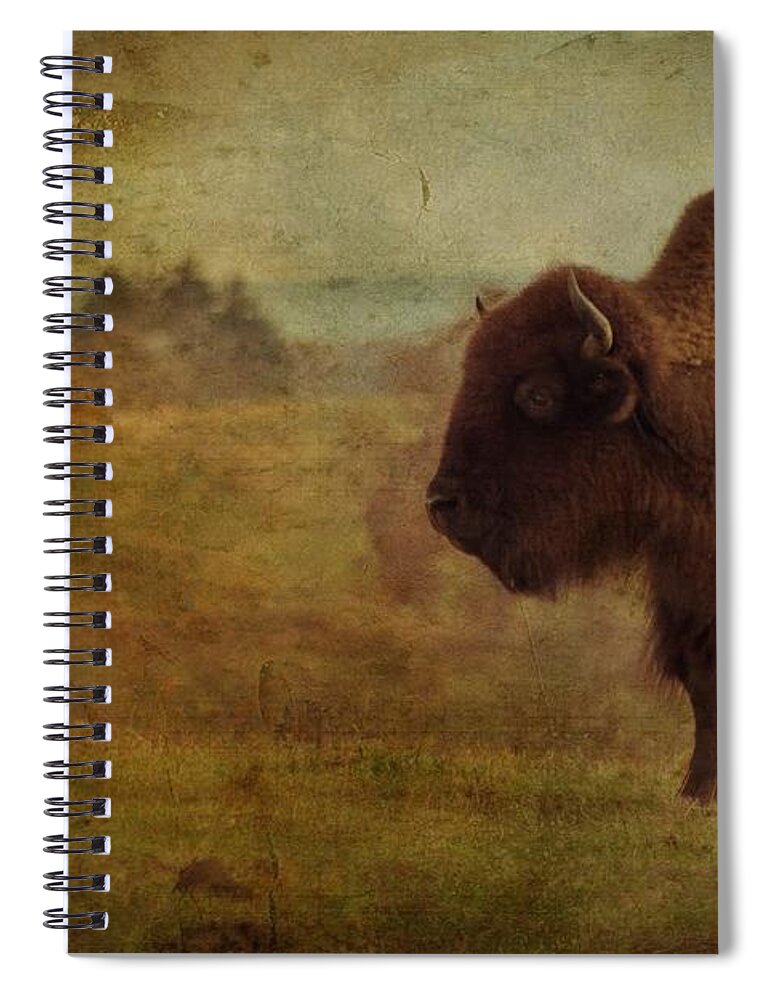 Bison Spiral Notebook featuring the photograph Doo Doo Valley by Trish Tritz