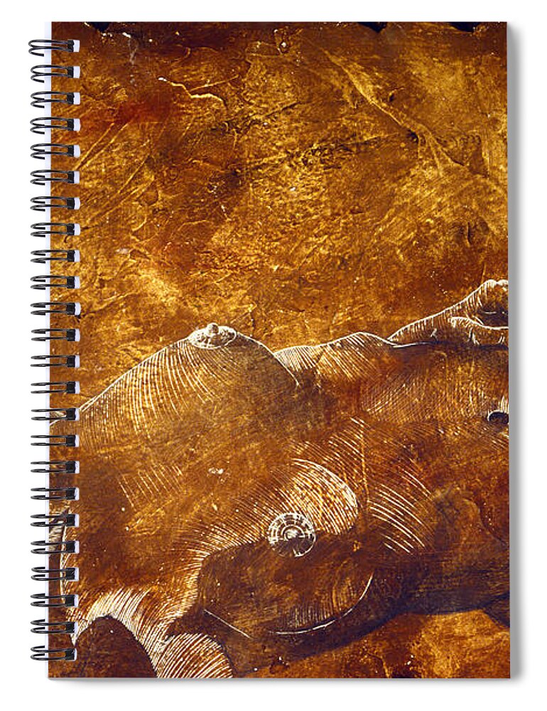 Nude Spiral Notebook featuring the painting Dorothy IV by Richard Hoedl